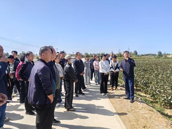 [中国日报网]甘肃敦煌:科技赋能棉花产业 打造国家棉花供给新高地